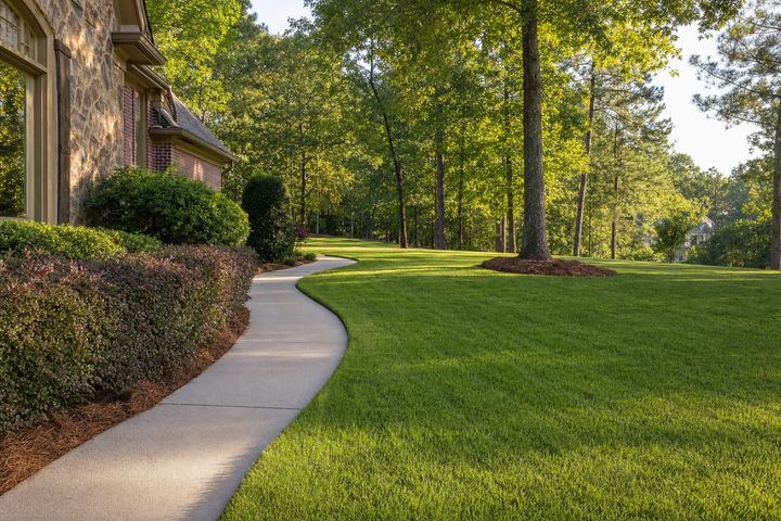 Crisply edged and mowed residential lawn
